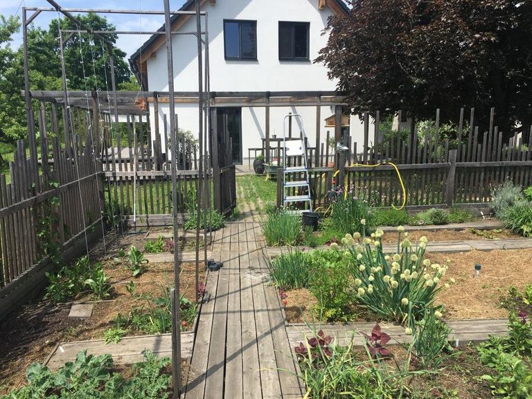 Gemüsegarten