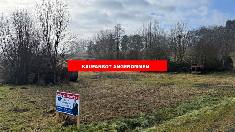 KAUFANBOT ANGENOMMEN