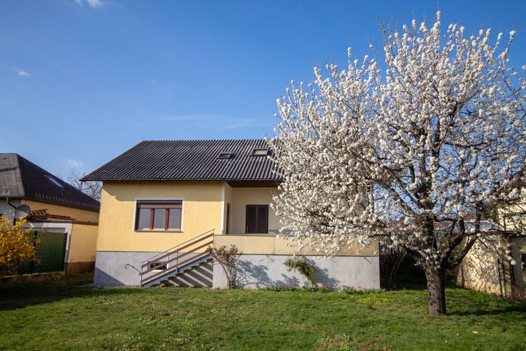Blick vom Garten zum Haus