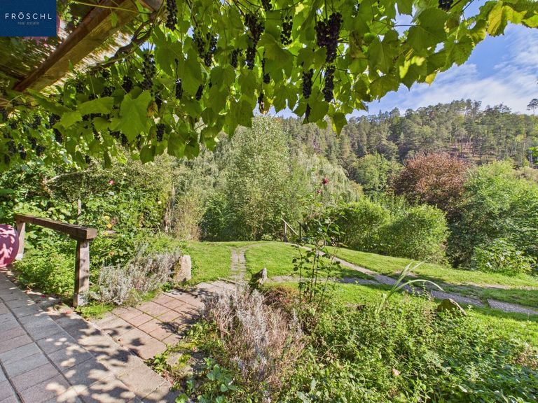 Blick von der Terrasse ins Thayatal