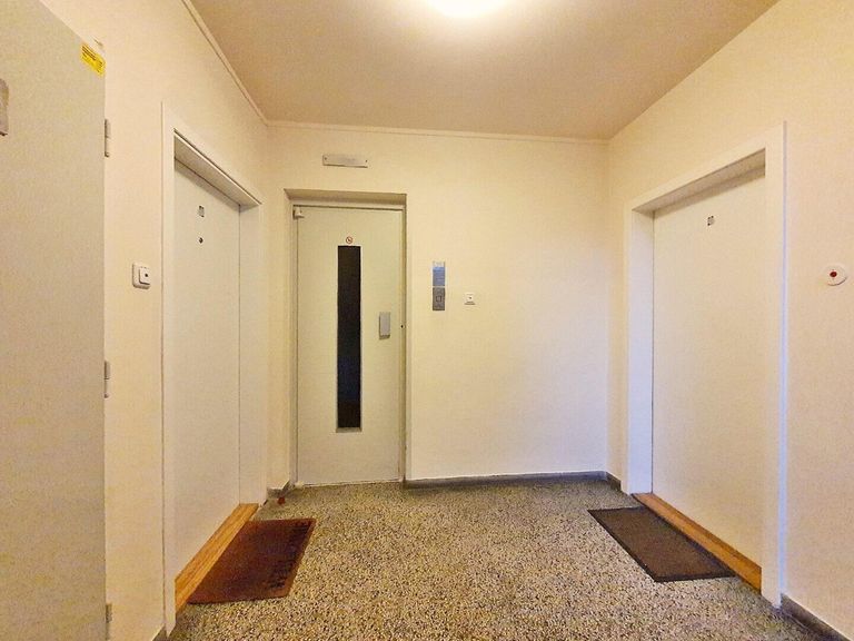 gepflegtes Stiegenhaus