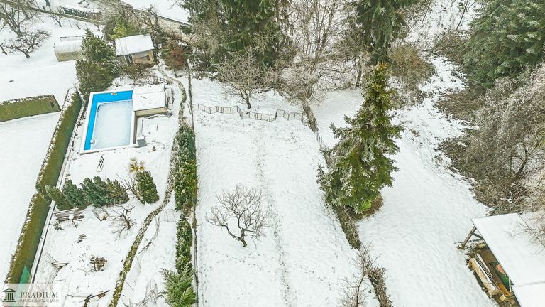 Gartenblick (bei Nebel)