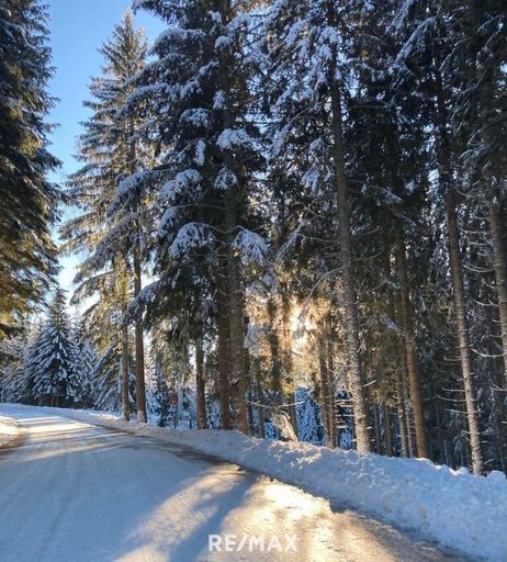 Stimmung am Weg zur Kanzelhöhe