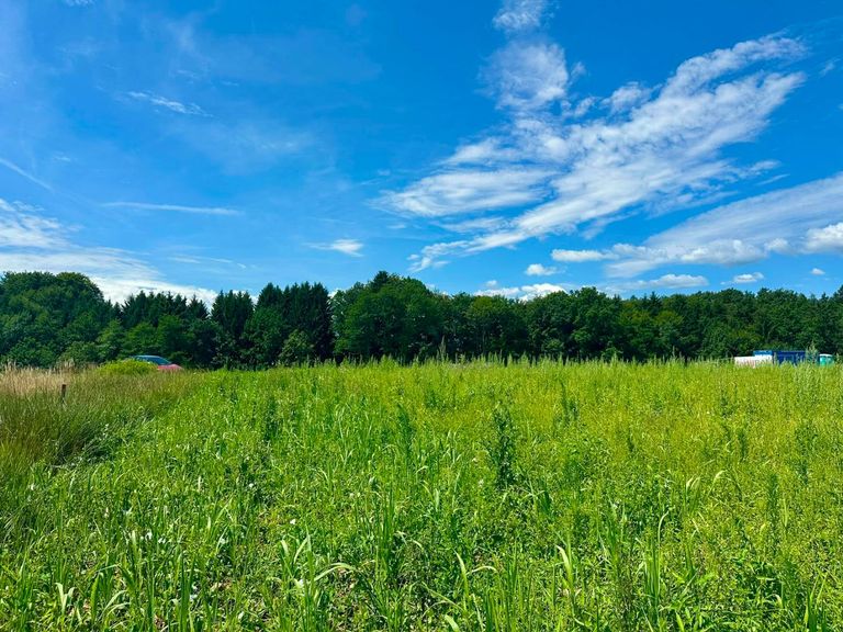 Baugrundstücke Top Lage sonnig und ruhig Gross St