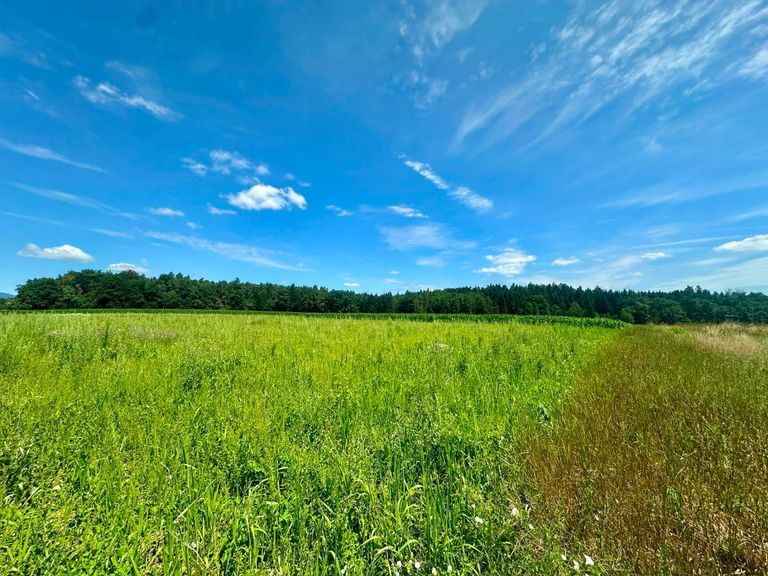 Baugrundstücke Top Lage sonnig und ruhig Gross St