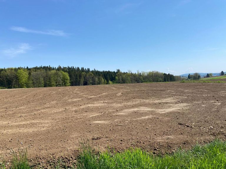 Aussicht 3 Baugrundstuecke Groß St Florian Deutsch