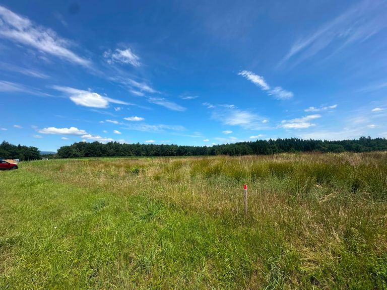 Baugrundstücke Top Lage sonnig und ruhig Gross St