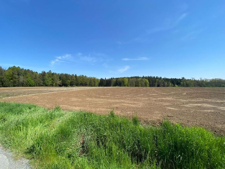 Aussicht Baugrundstuecke Groß St Florian Deutschla