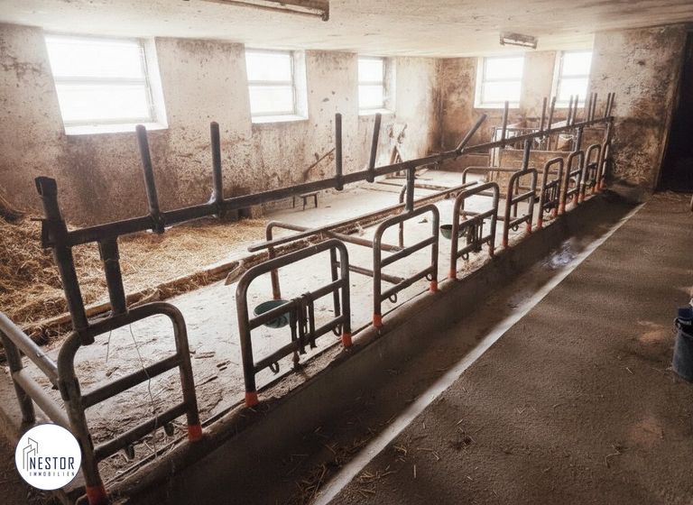 Haus - NESTOR Immobilien