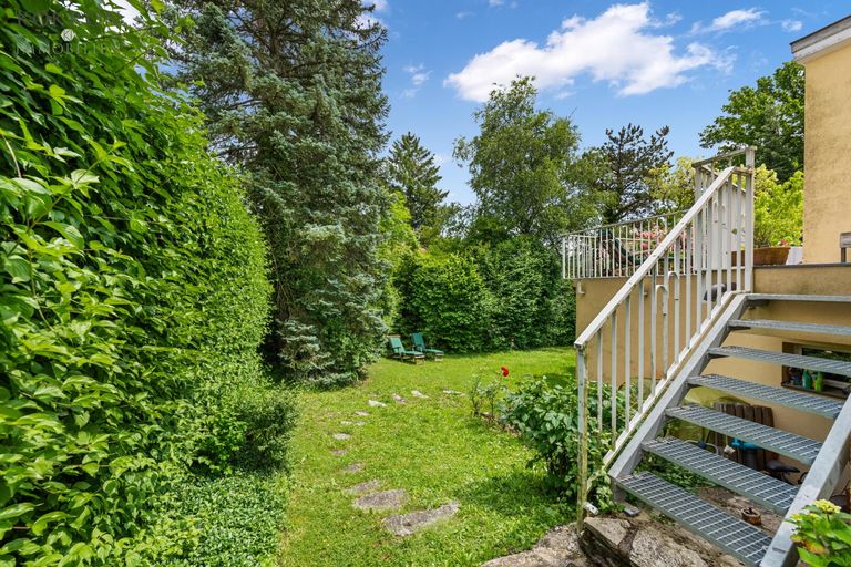 Gartenfläche rund ums Haus