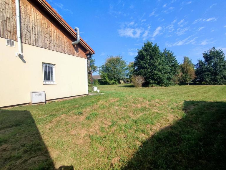 Blick in den Garten