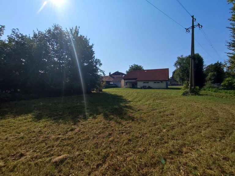 Blick vom Garten