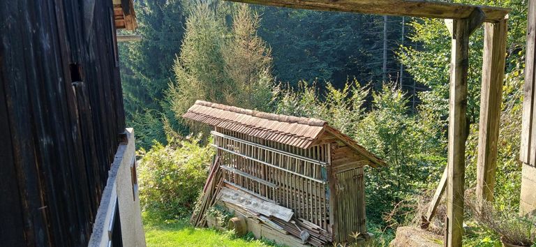 Blick zum Waldgrundstück