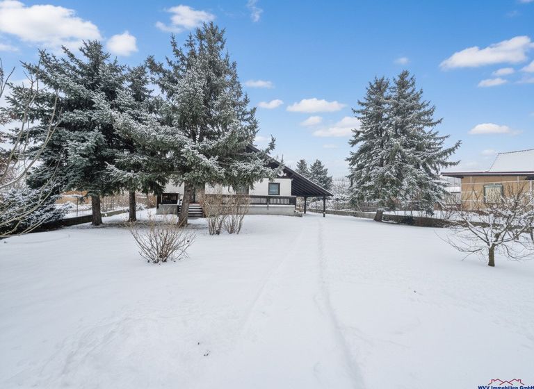 Vorgarten mit Altbaumbestand