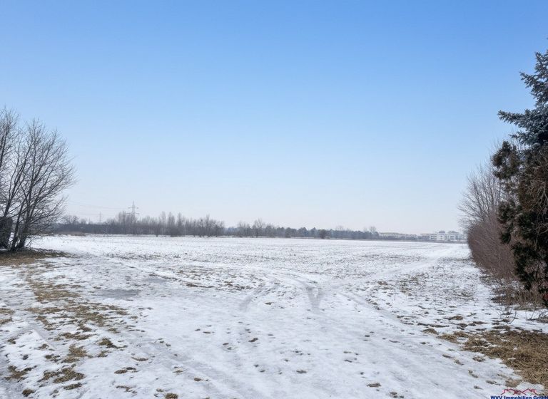 Nebenansicht - Feldblick