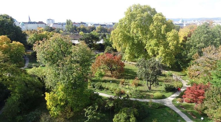 Blick auf den Botanischen Garten