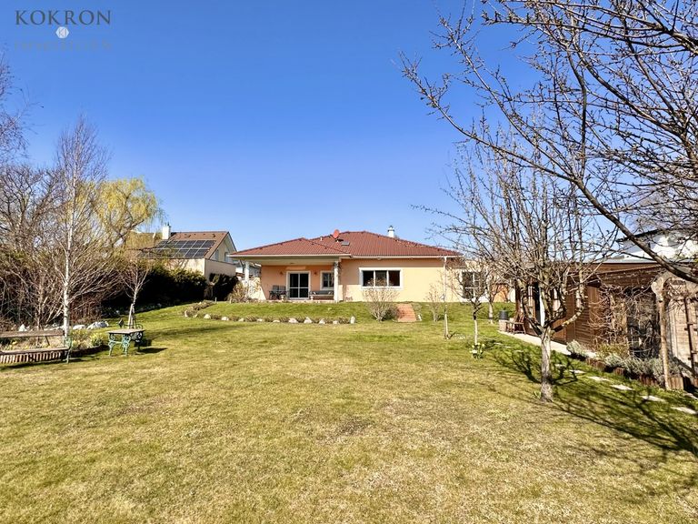 ein weitläufiger Garten