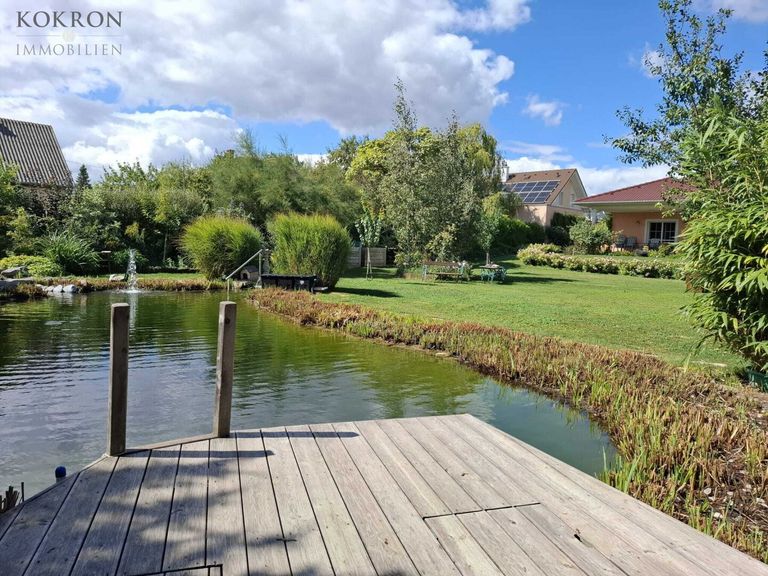 Schwimm-Biotop im Sommer