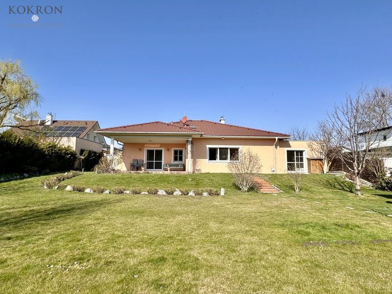 Das Haus gartenseitig