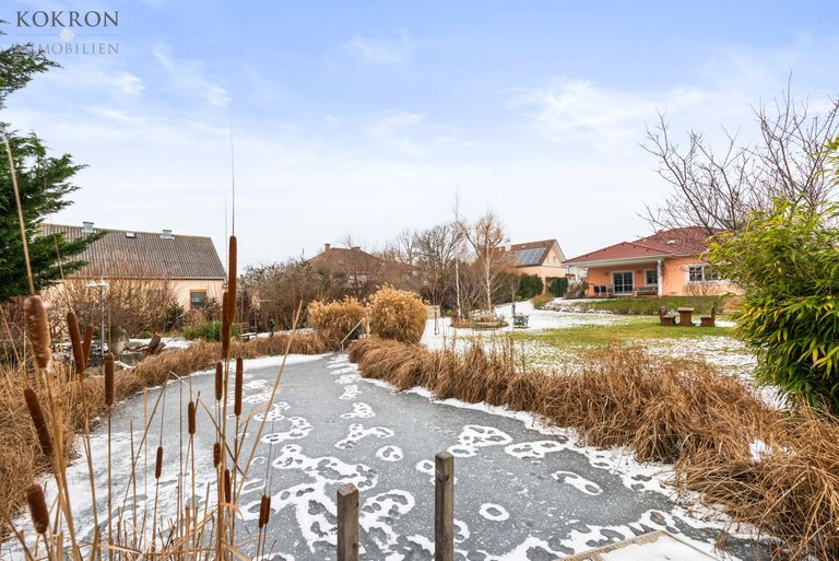 Das Schwimm-Biotop - derzeit eher Eislauf-Biotop