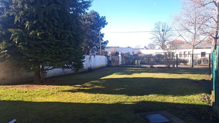 Westseite Garten und Einfahrt