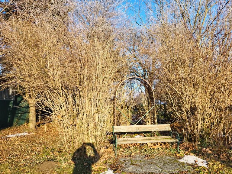 Ruheplatz