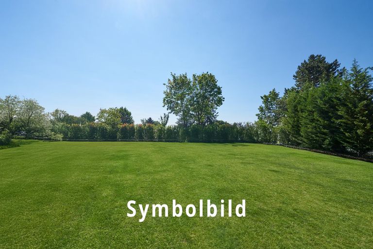 DSC_9396_Symboldbild