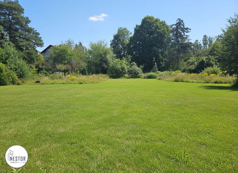 Grundstück - NESTOR Immobilien