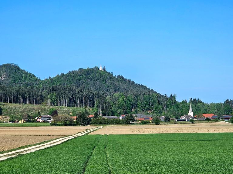 Blick zum angrenzenden Ort