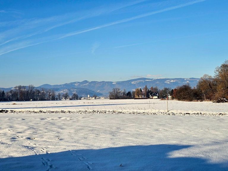 Blick auf die Saualpe