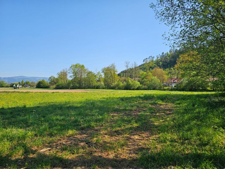 Grundstück - Blick Richtung Nord/Ost