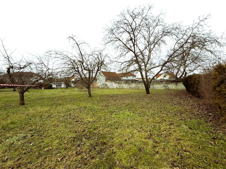 3 Blick von der Straßenseite