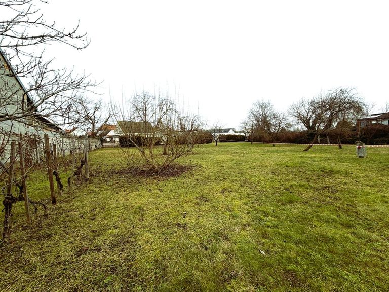 5 Blick Richtung Straße