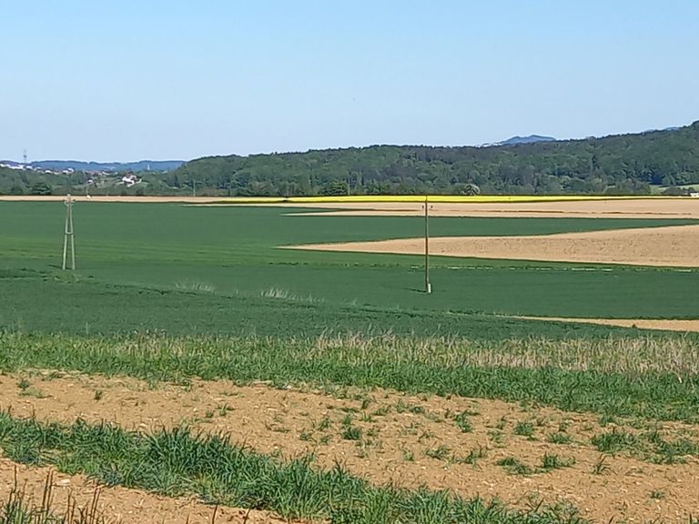 erste Reihe fußfrei