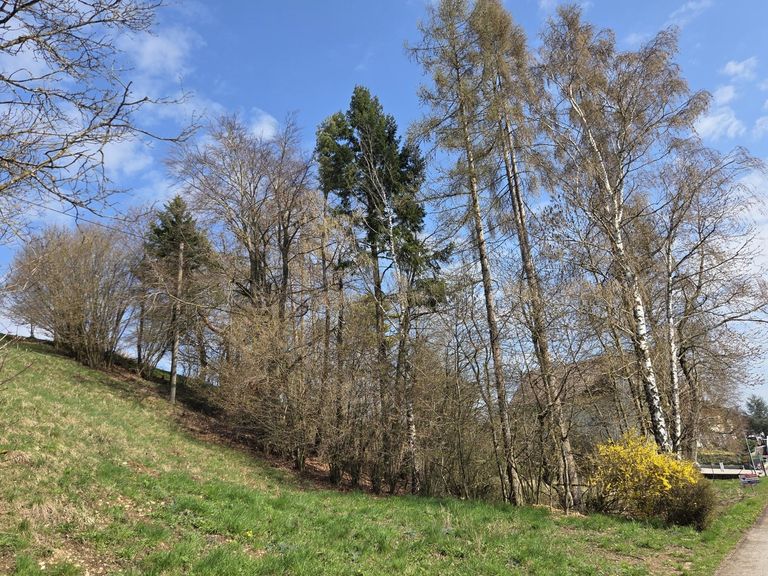 süd-west