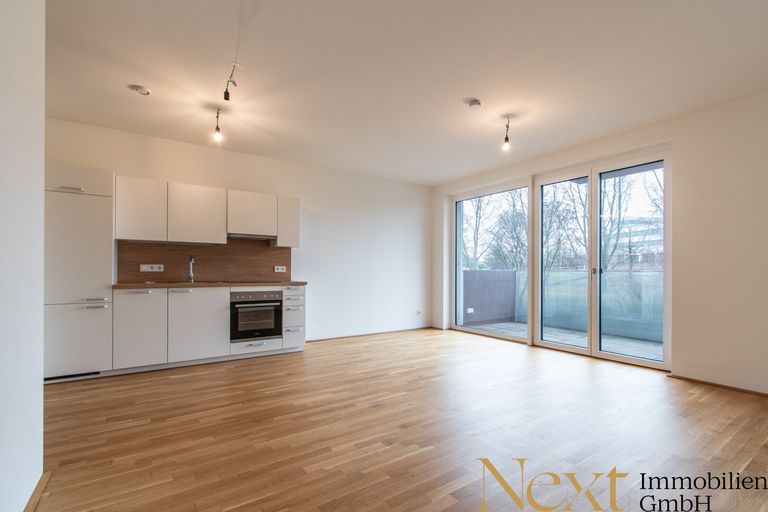 Wohn-/Ess-/Schlafbereich I