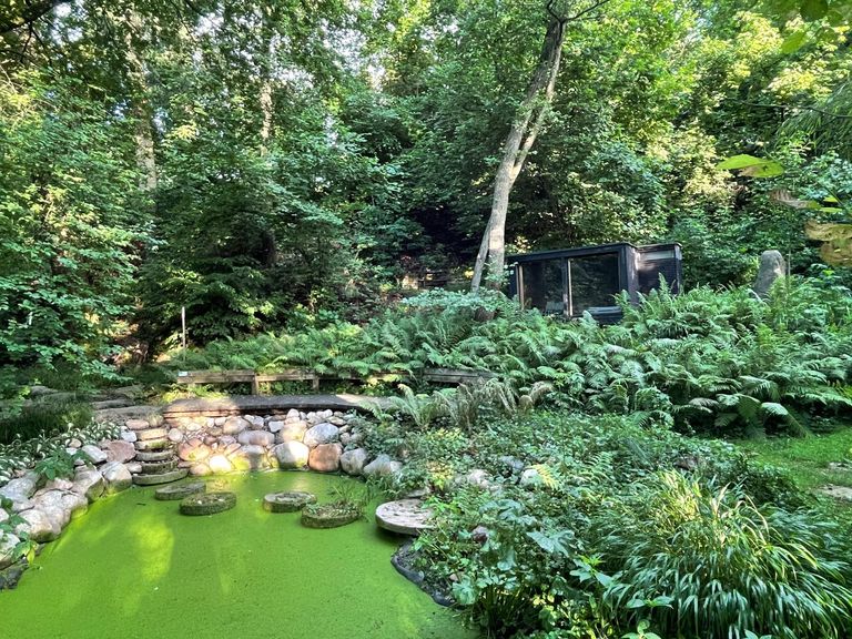 Wilder Teich mit Ruhekubus