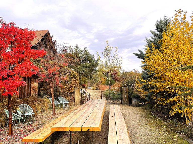 Festplatz im Eingangsbereich