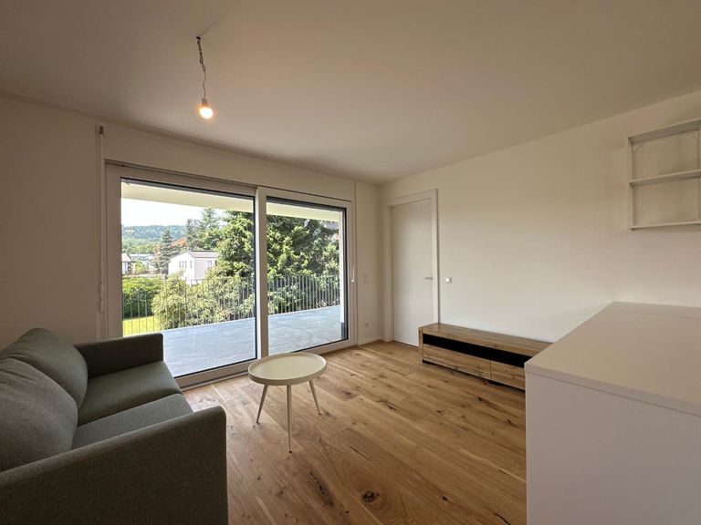 Koch-/Wohn-/Essbereich