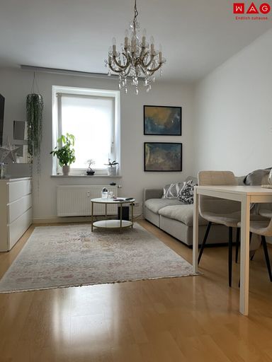 Wohn- und Esszimmer (Einrichtungsbeispiel)