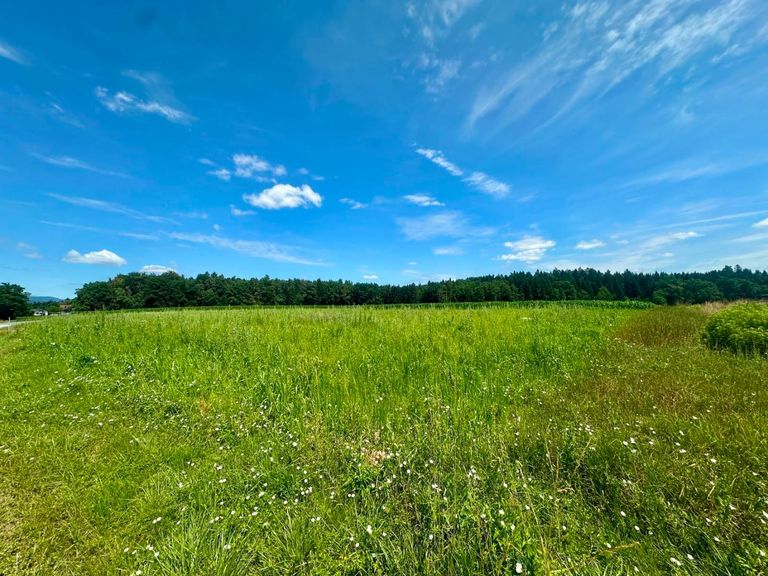 Zielfoto Top Lage sonnig und ruhig Gross St Floria