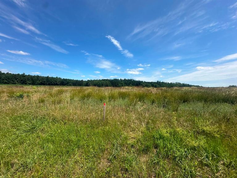 Baugrundstücke Top Lage sonnig und ruhig Gross St