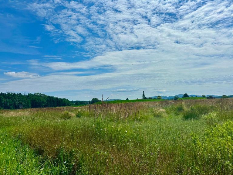 Baugrundstücke Top Lage sonnig und ruhig Gross St