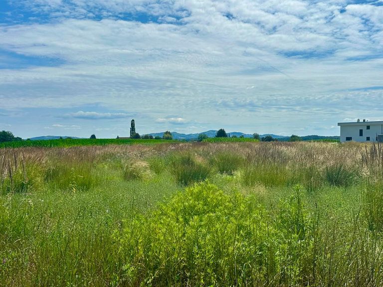 Baugrundstücke Top Lage sonnig und ruhig Gross St