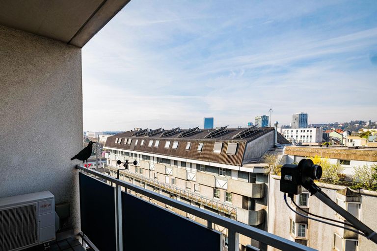 Aussicht von der Loggia