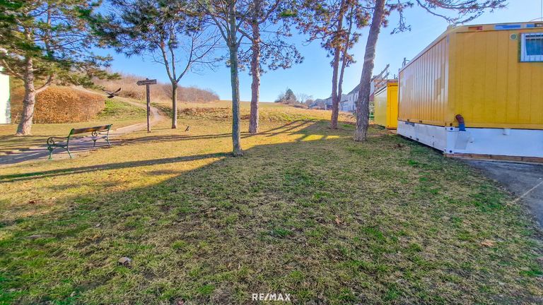 Kellerberg/Stadtwald