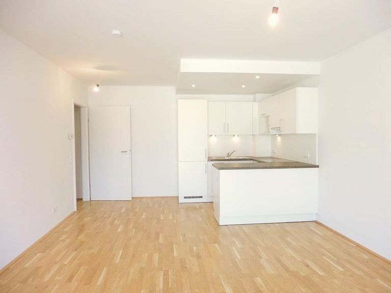 Wohnzimmer (Blick zur Küche)