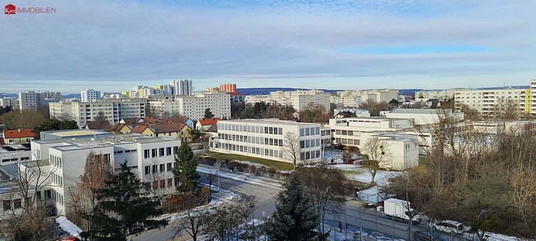 Blick über die Dächer Wiens