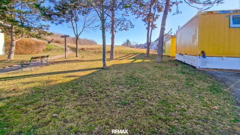 Kellerberg/Stadtwald