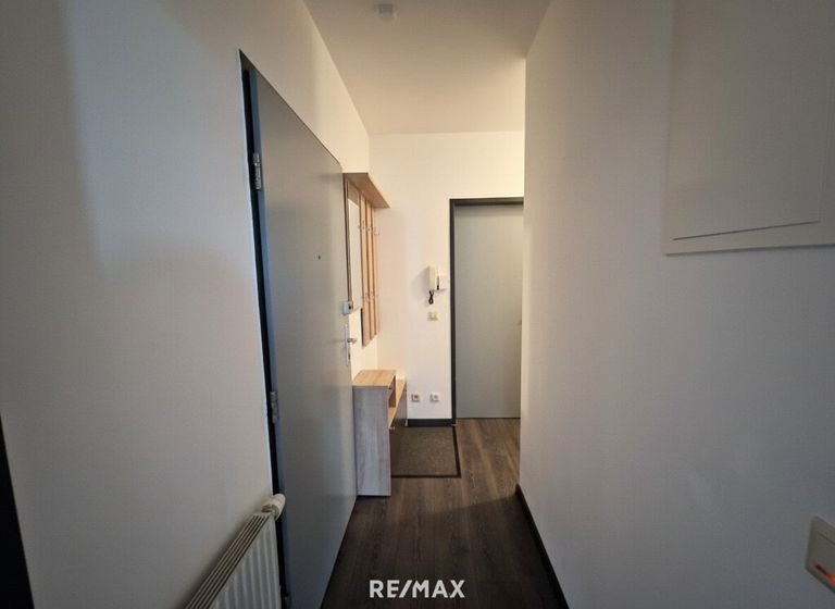 Eingangsbereich/Flur